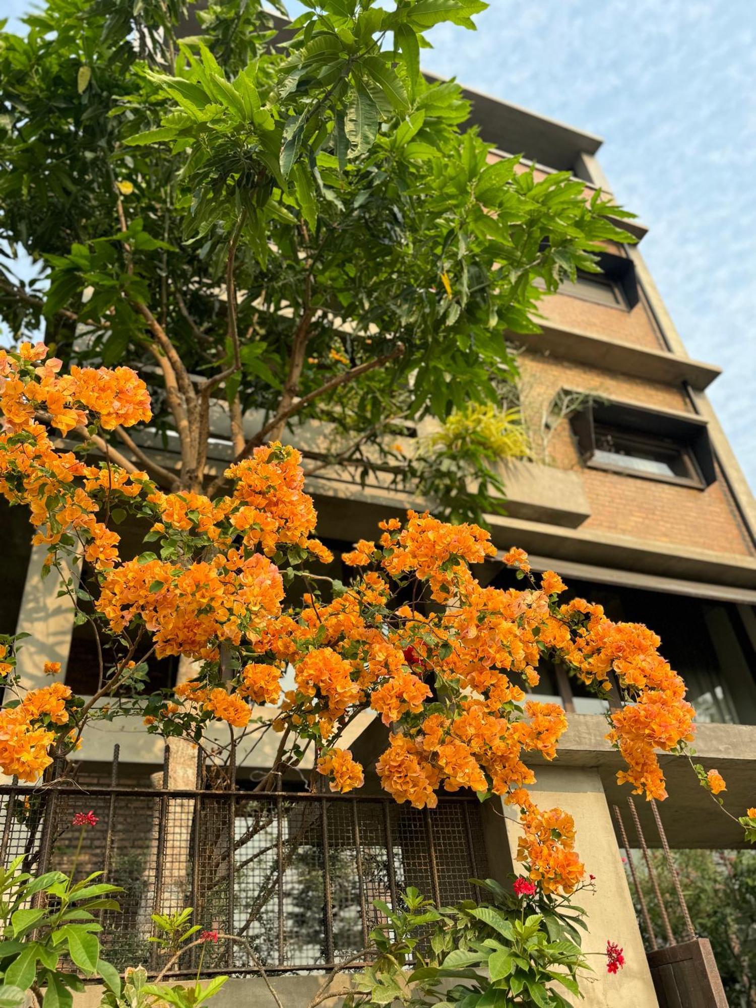 Kaia Gallery Hotel Hoi An Exteriér fotografie